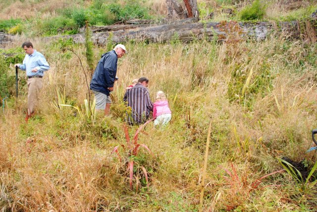 A young helper- Cambridge Tree Trust